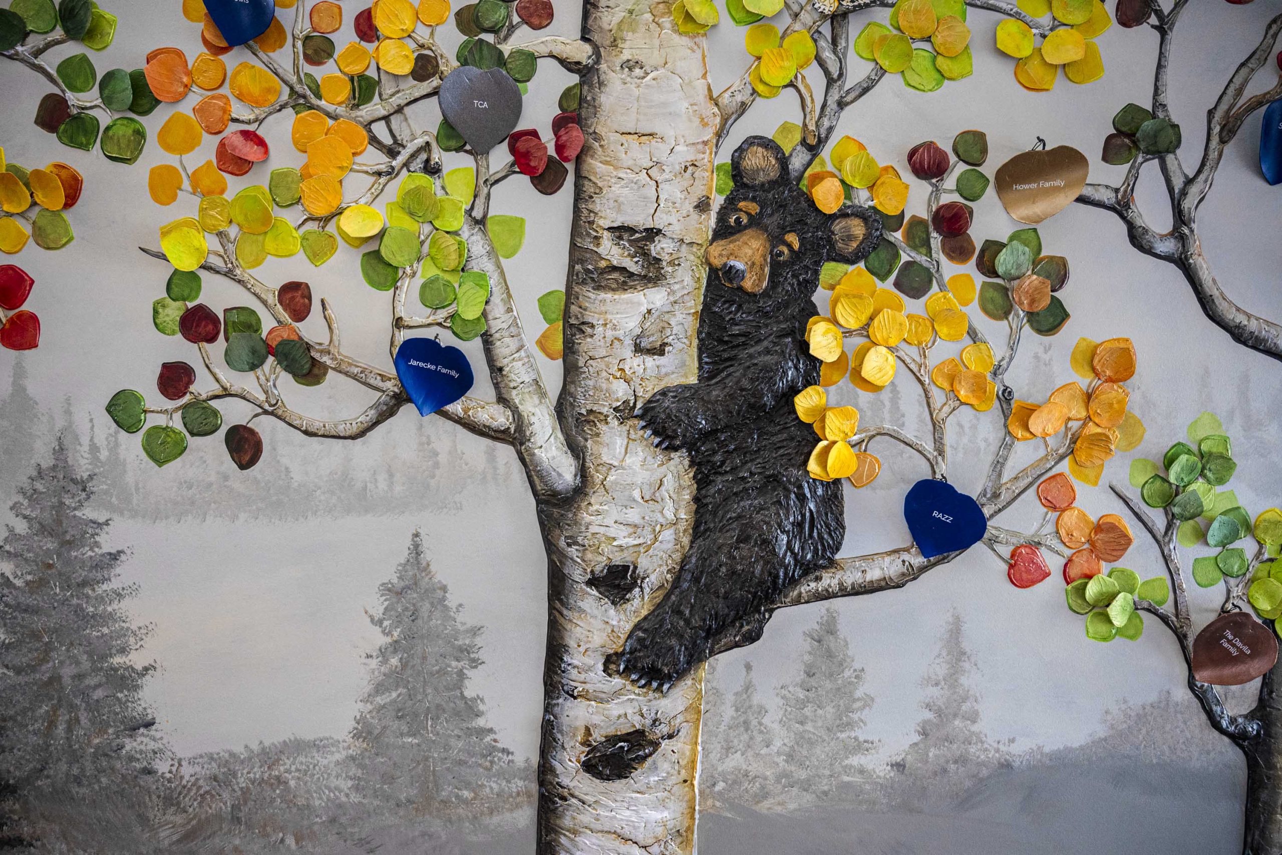 Ronald McDonald House, Southern Colorado, Colorado Springs Legacy Wall